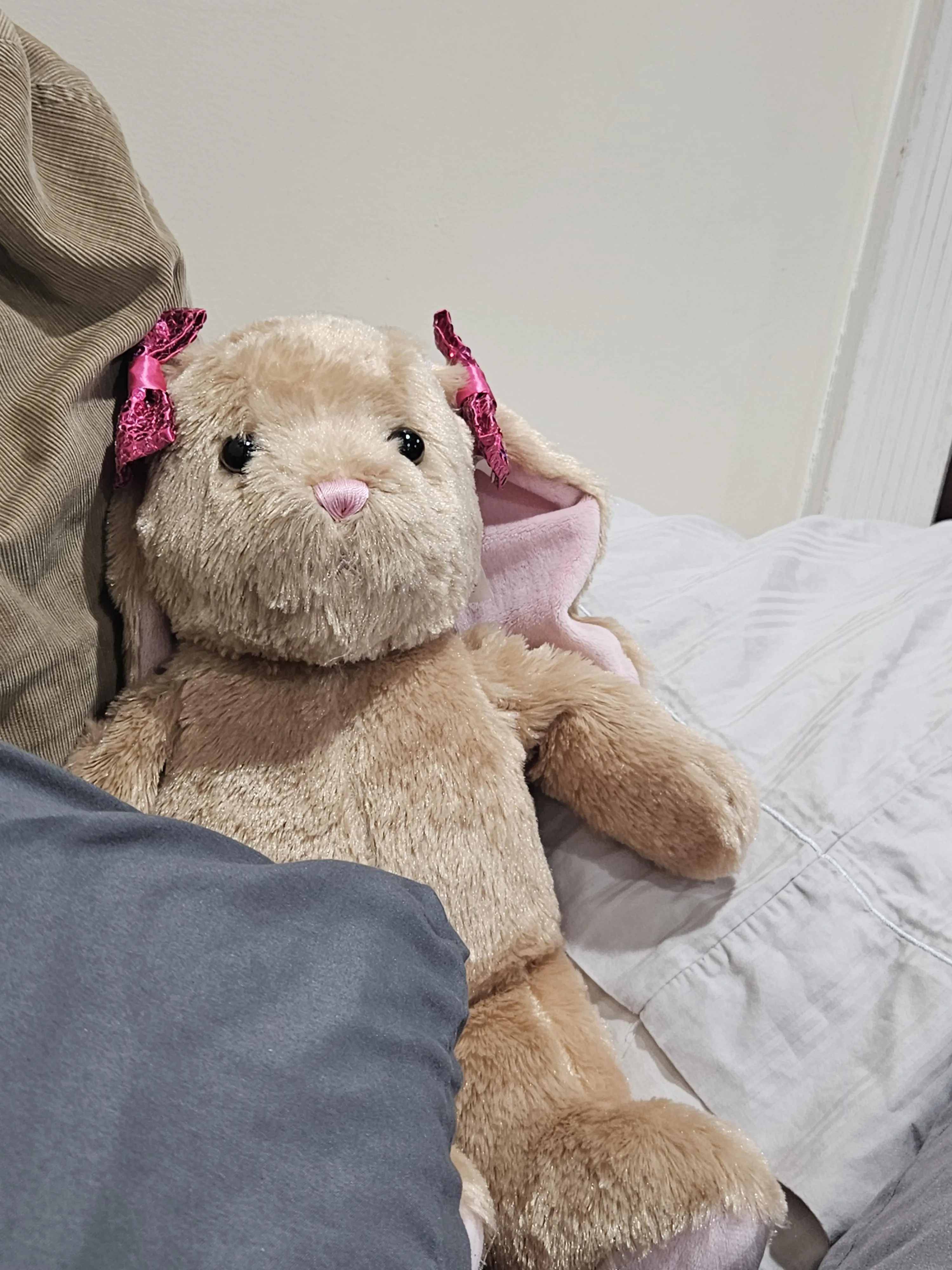 A lil pic of Ribbon before [Snuggle Saturday] ends.