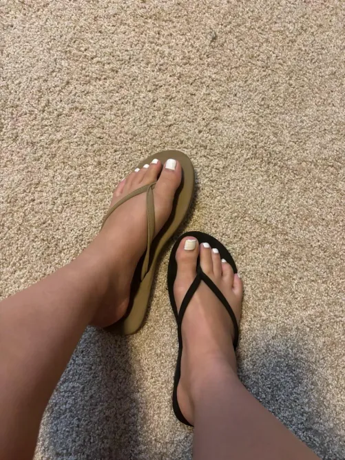 Black or brown flojos?