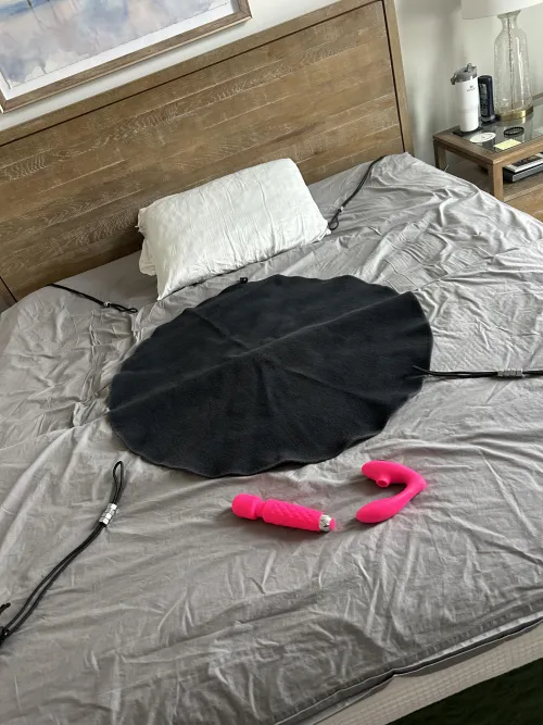 Does this looks like a fun night?