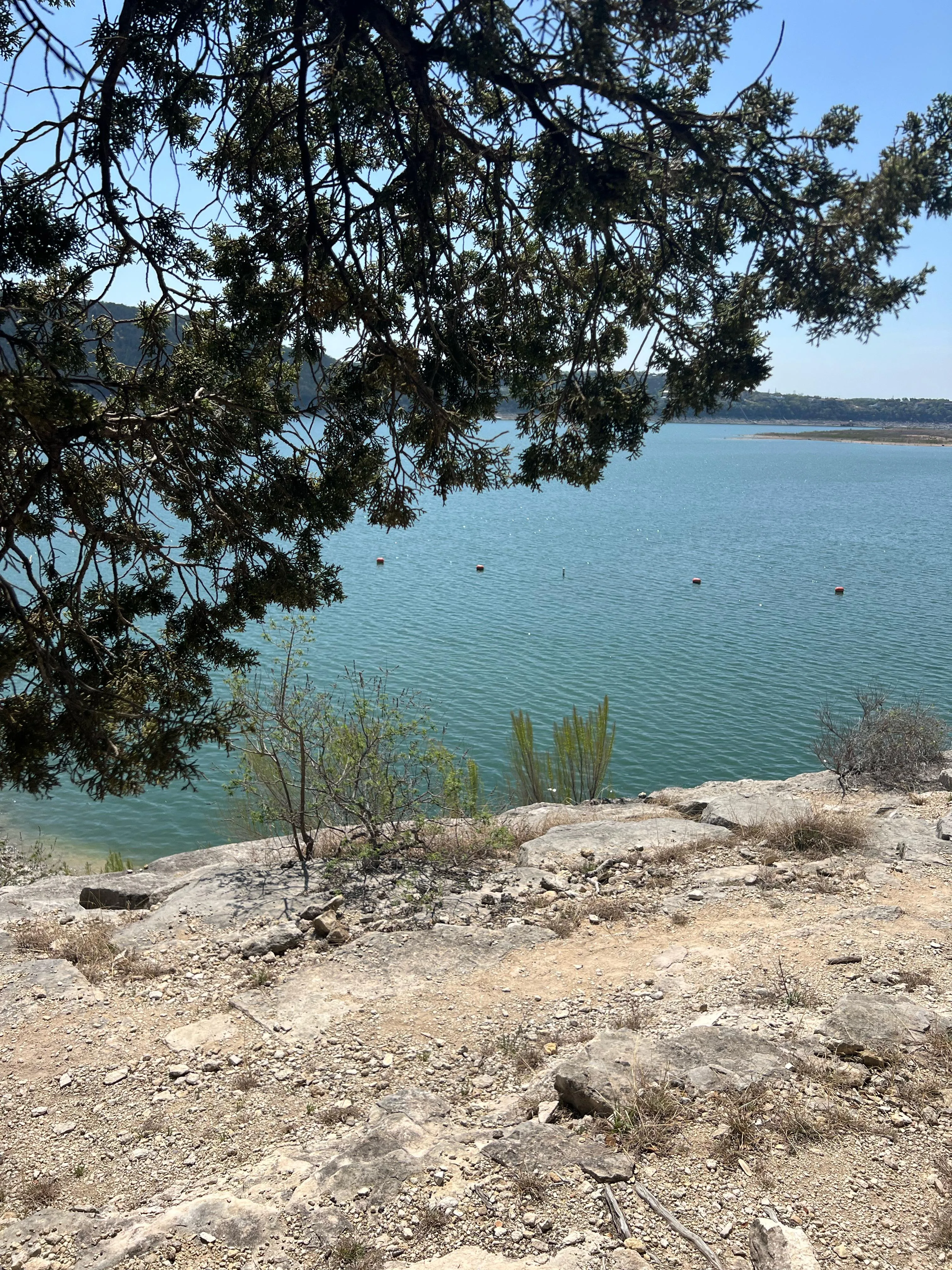 Always the vibe out here