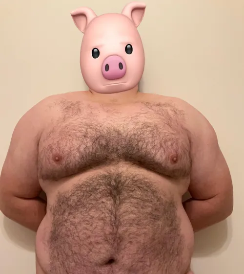 Belly pig taking requests.