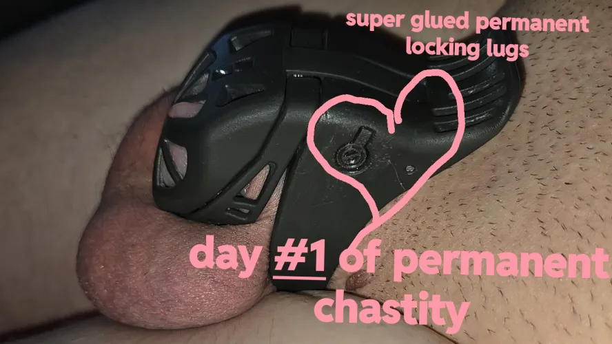 First day in my permanently sealed cage