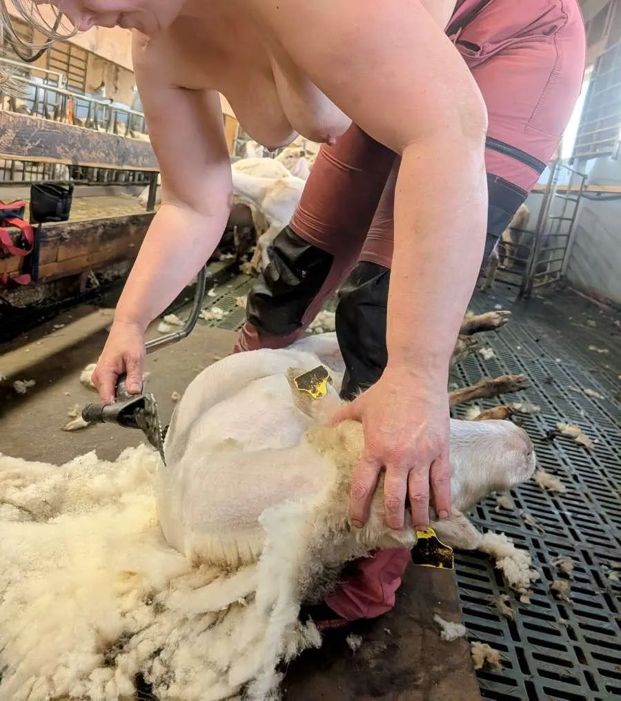 Hoping this is farmrelated enough