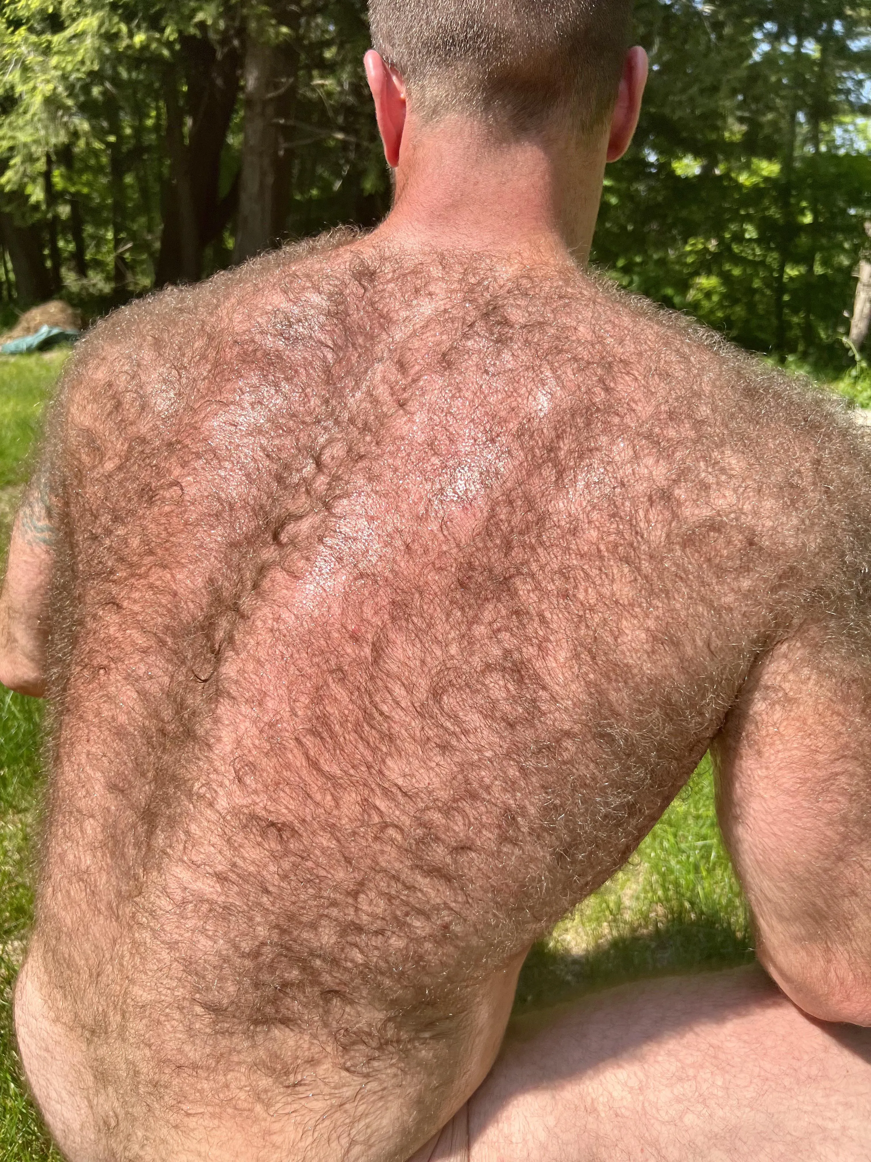 How’s this for a back?