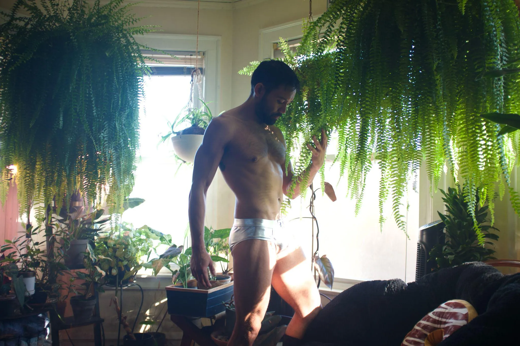 My ferns and I are ready for the growing season