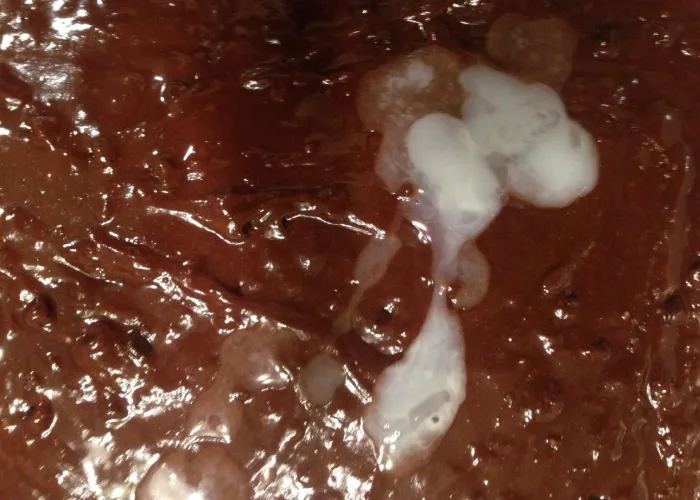 She wanted an extra ingredient for her brownies