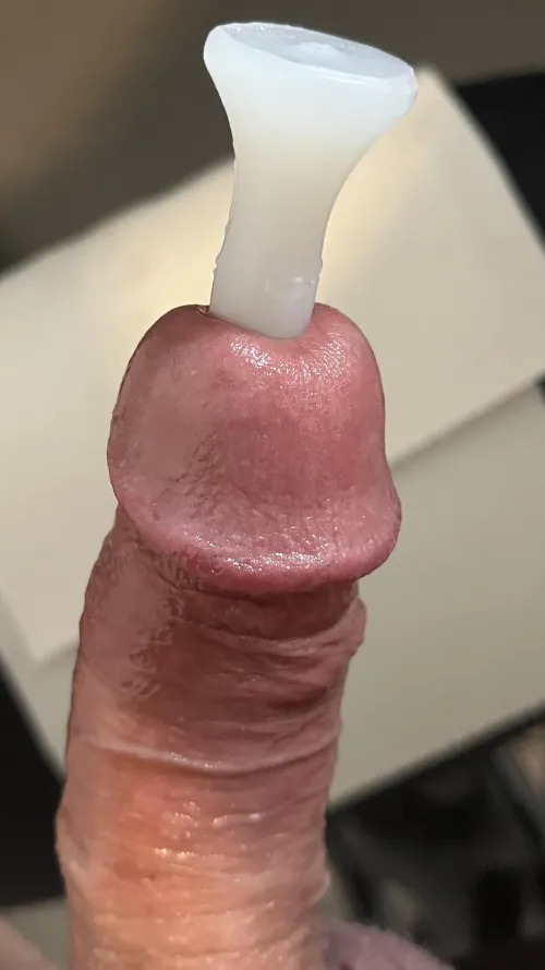 Stretching my little cock.