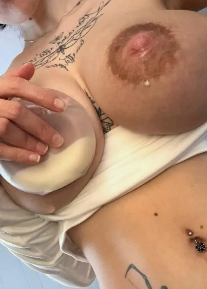 this is how the highest quality milk is produced