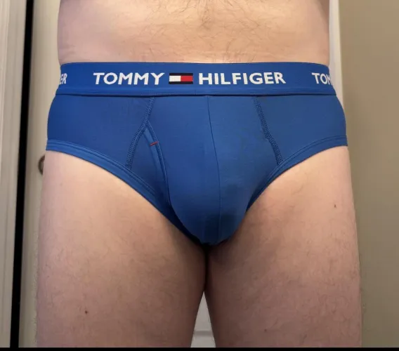 Tommy Hilfiger Blue Briefs