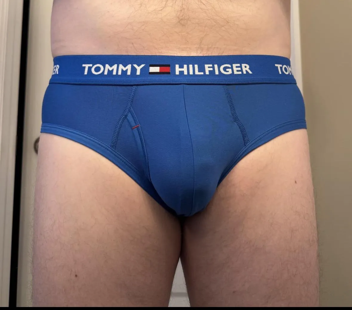 Tommy Hilfiger Blue Briefs