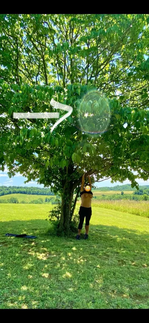 What the…?  Do you think it enjoyed the show?