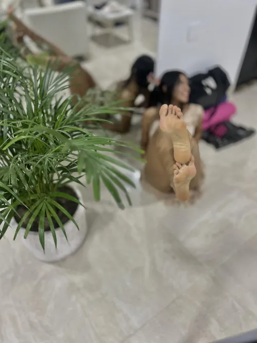 Come on the floor and lick my feet