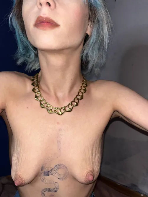 embracing the essence of stripes. s