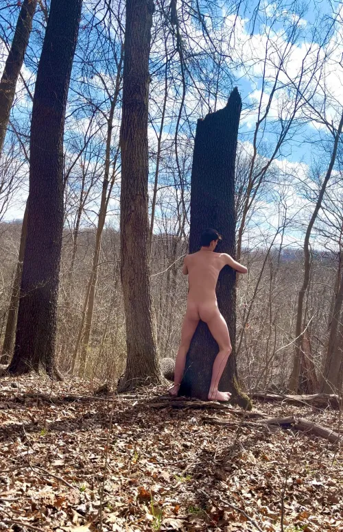 [18] Tree Hugging! 🌲