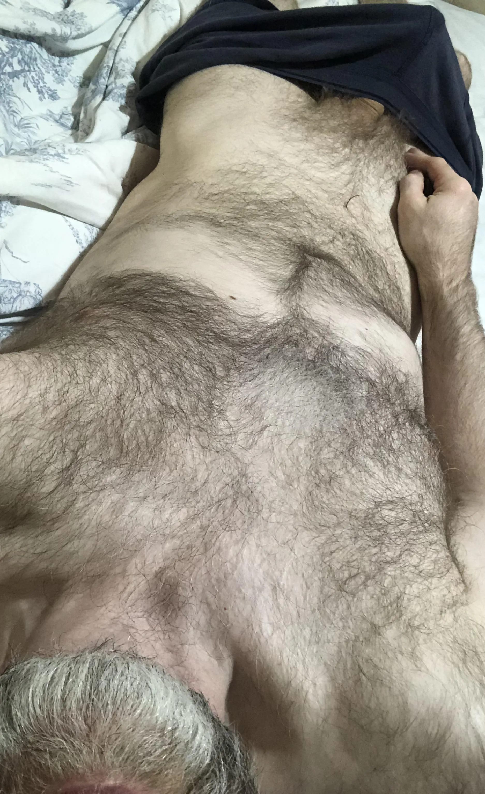 [49]Who wants to stroke a hairy silver fox?