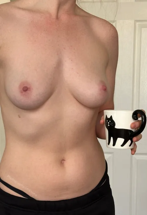 Another kitty cup morning