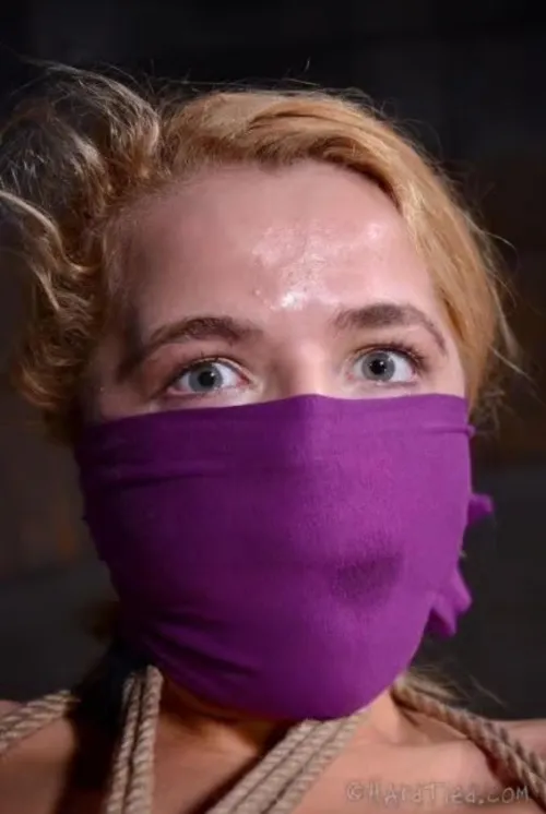 Anyone know where I can find the video this is from?