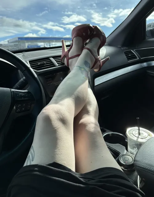 Dreaming of summer….