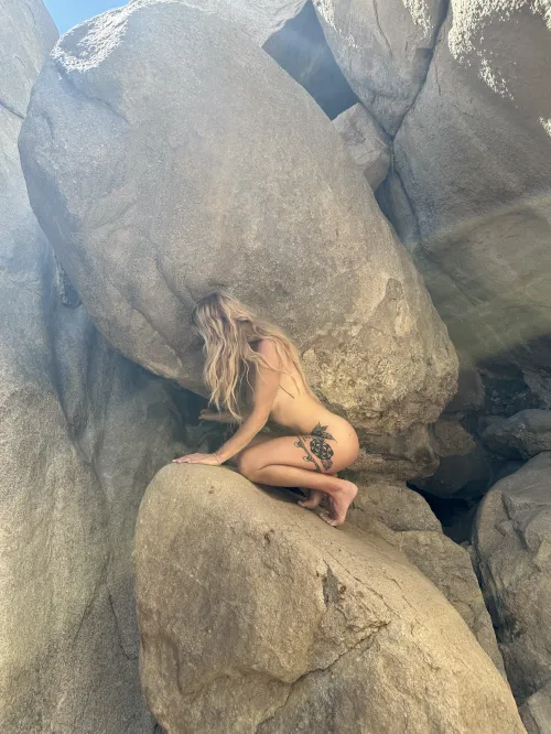 in J-tree recently hiking x