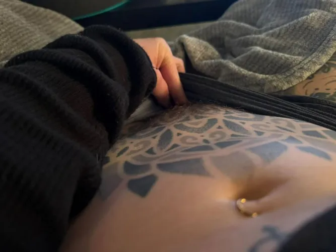 The front lawn is coming along nicely