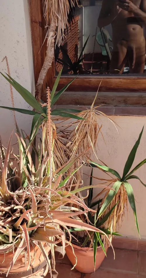 Water the plants on a beautiful day