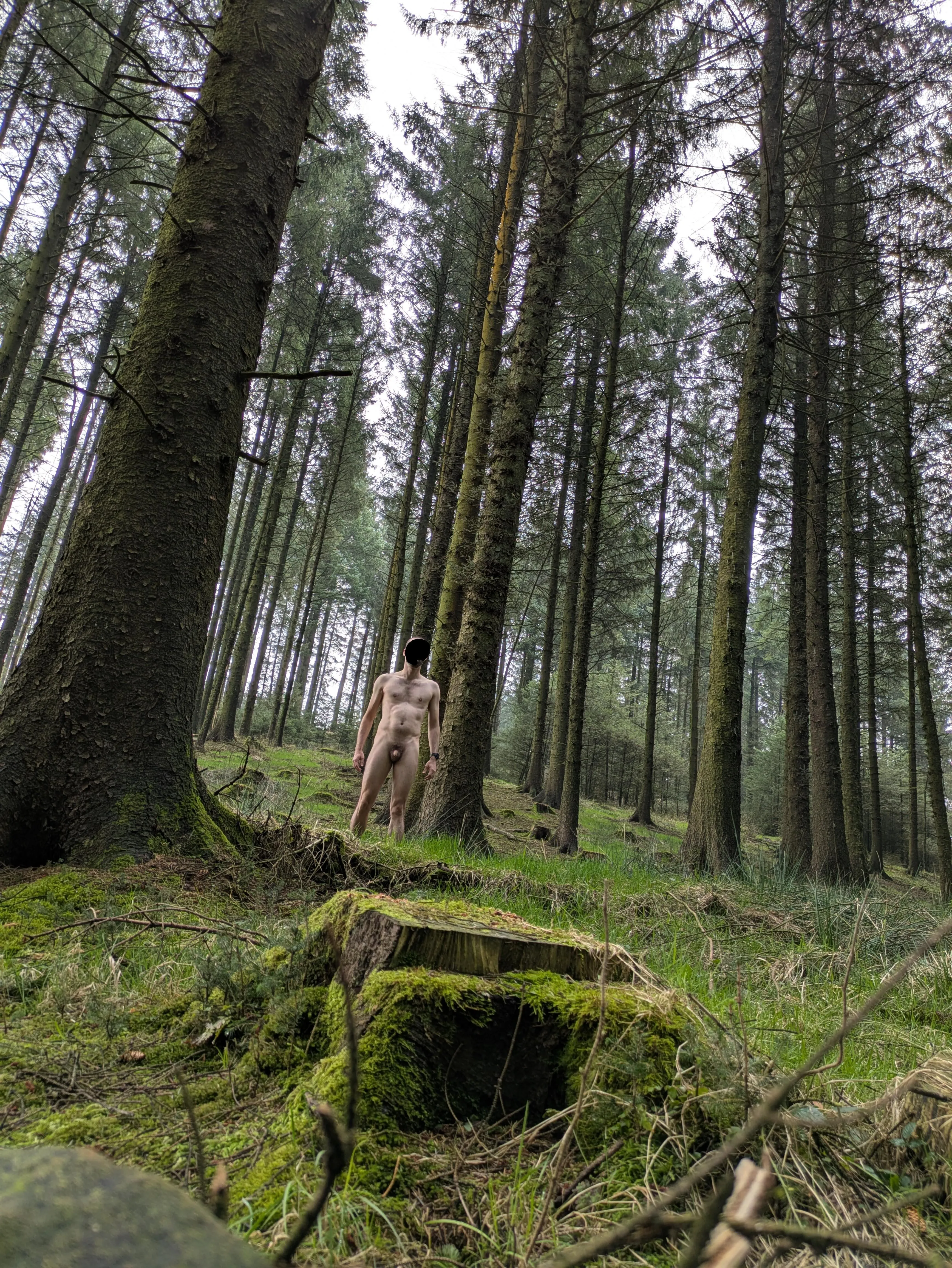 Amongst tall company