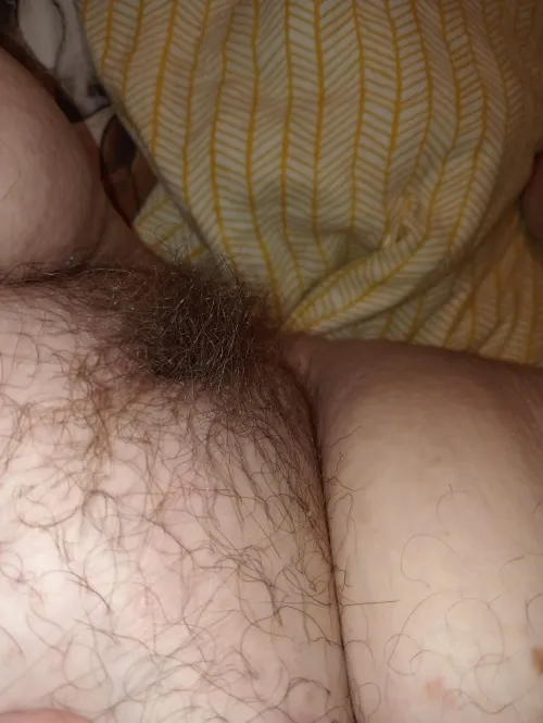 Hairy fat pussy and fatty thighs
