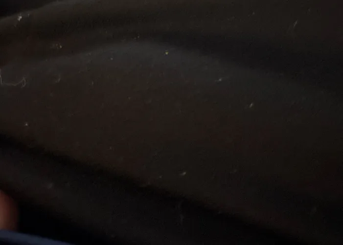 Meet north uk Sunderland