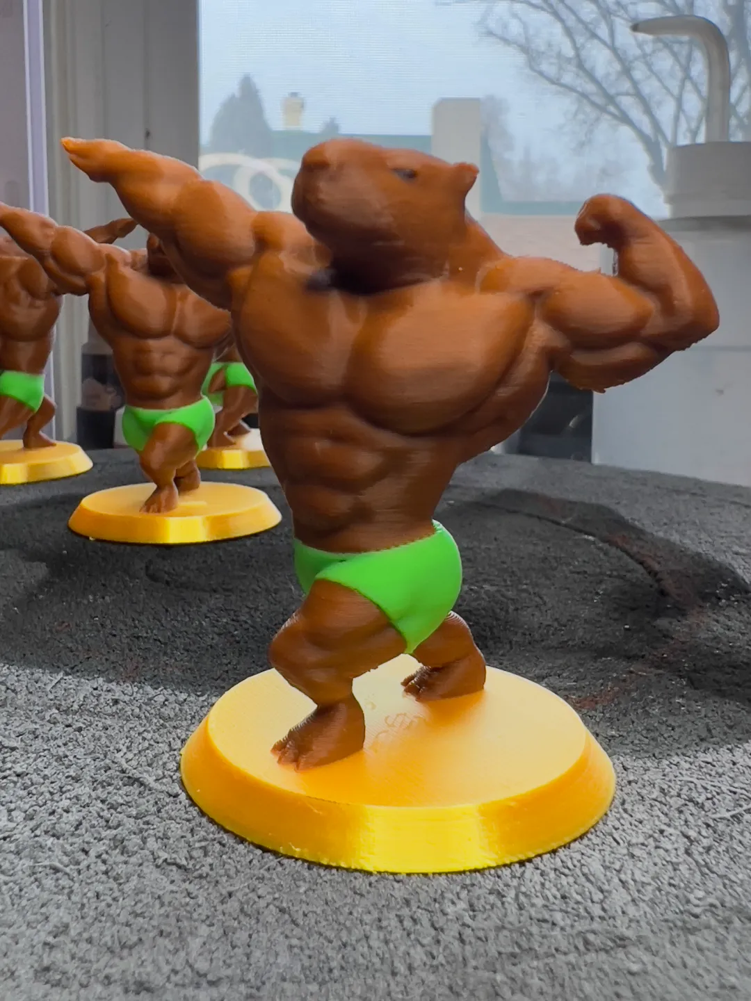 The last time I came here, I posted a pic of a capyBARA plush. Now my algorithm is broken and won't stop showing me things like this.