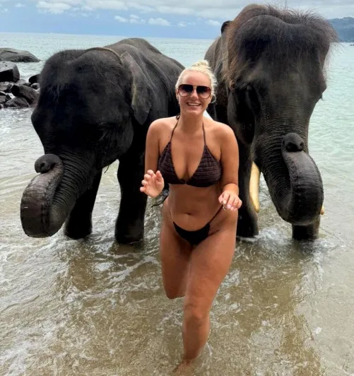 26 F UK - Love swimming with elephants, they have HUGE TRUNKS!