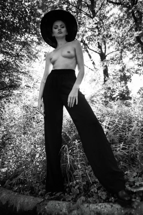 Love Fern, by Nicloas Larriere