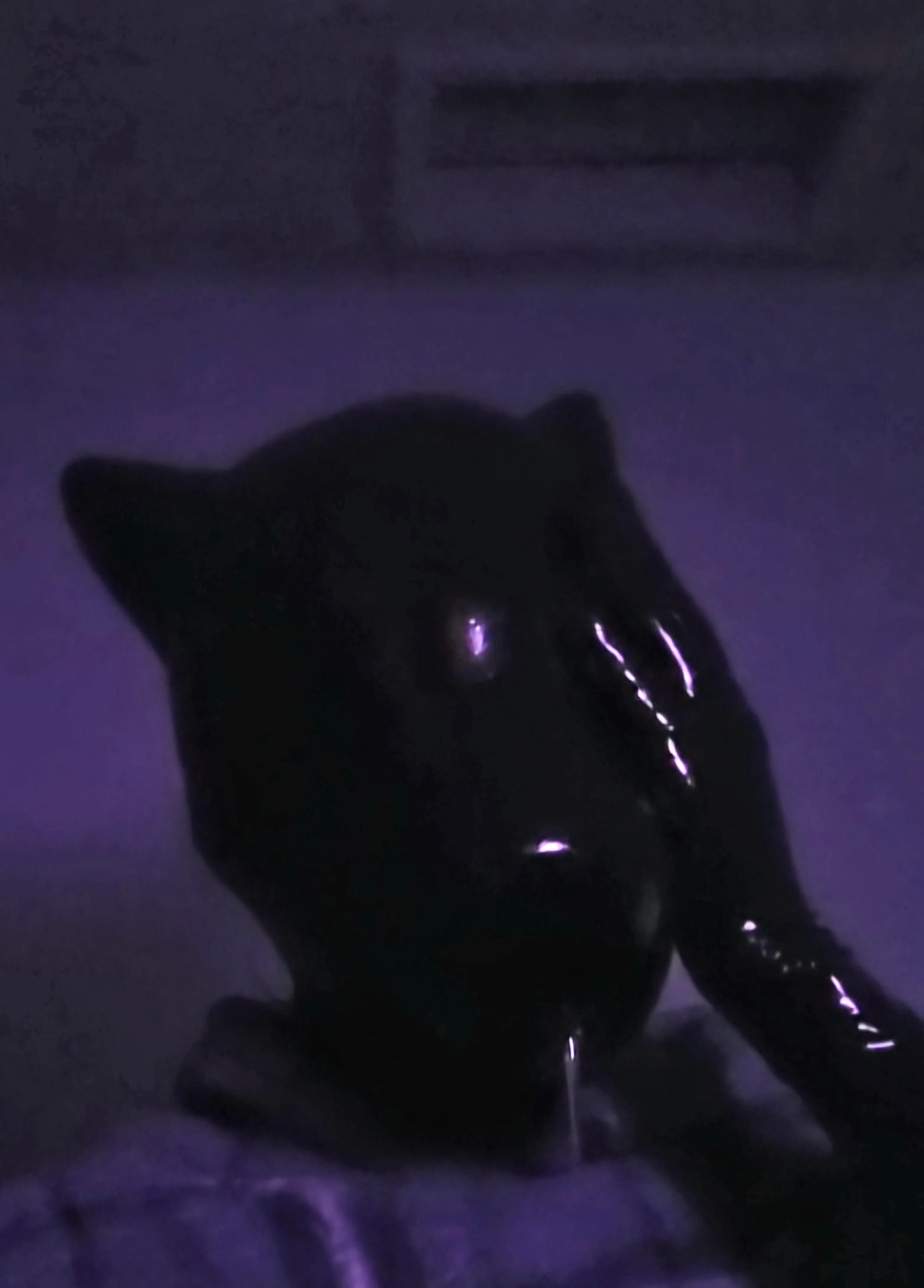 Trying out a new hood and gloves