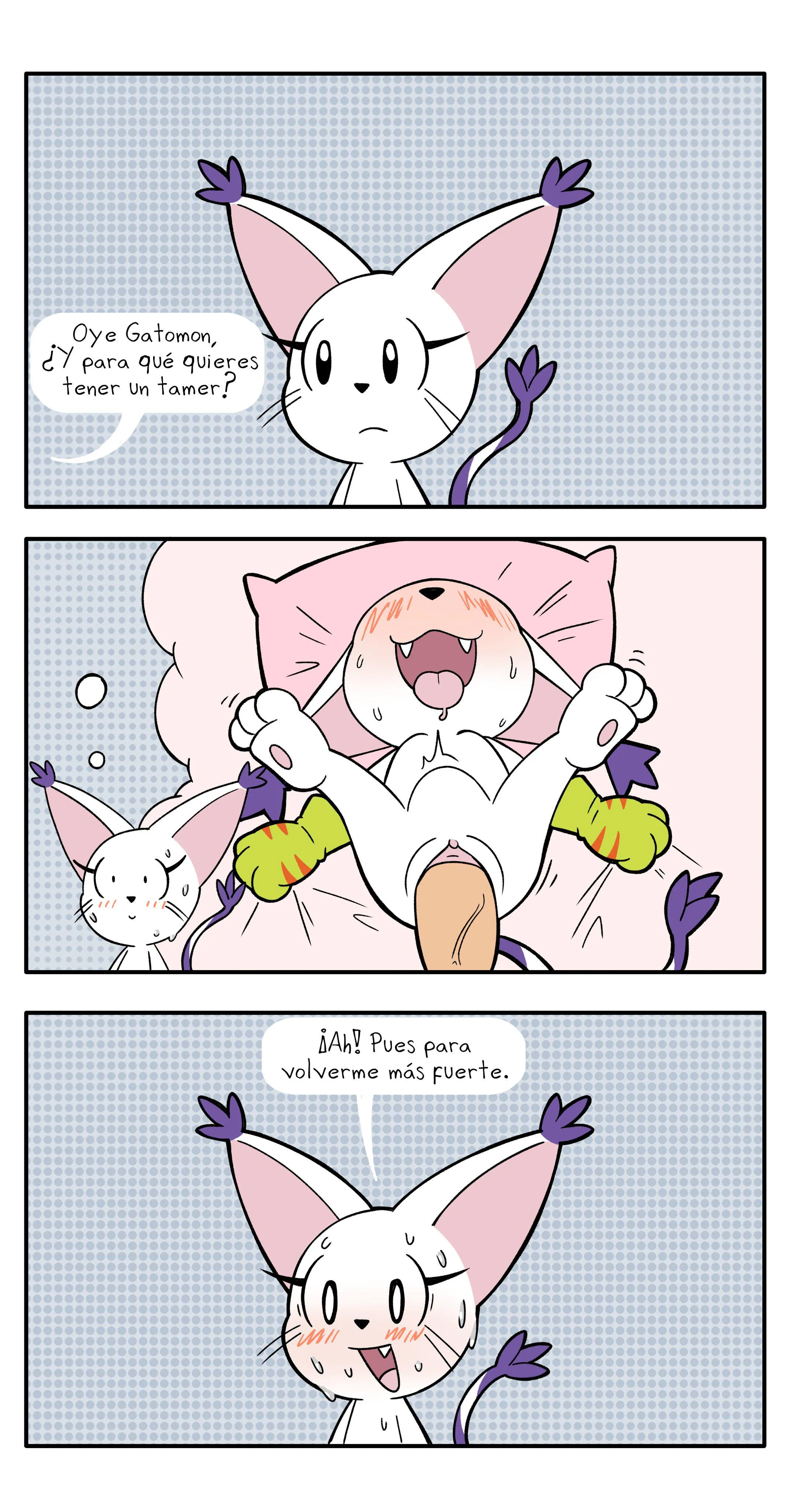 Hey Tailmon, so...¿what's the reason behind having a 