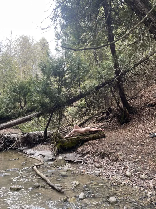 Literally 2 seconds after this photo was taken, a random person walked out from behind the bushes…