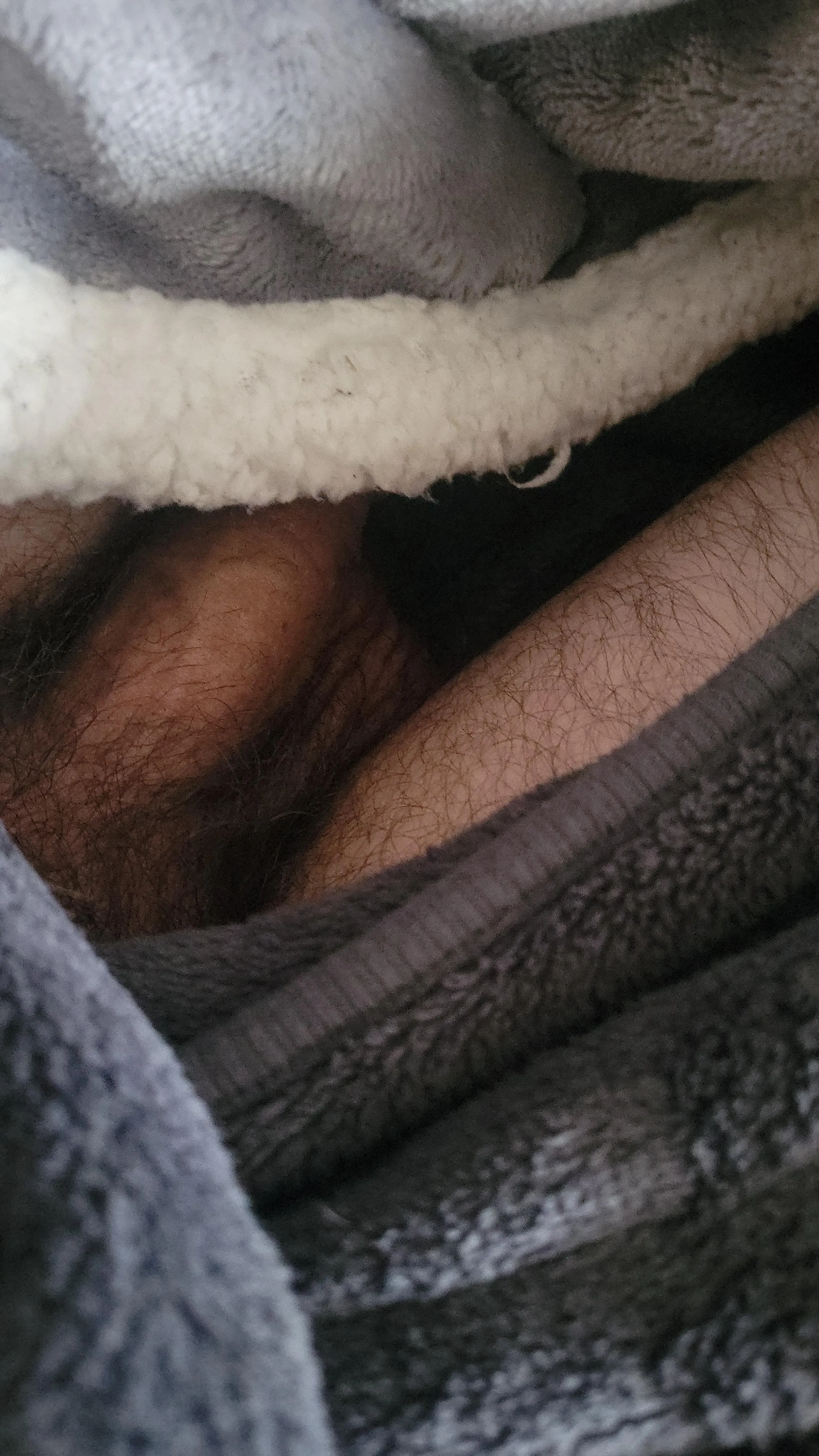M39 east tennessee still looking for a frot buddy. DMs are open