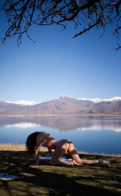 Nature makes the best witness