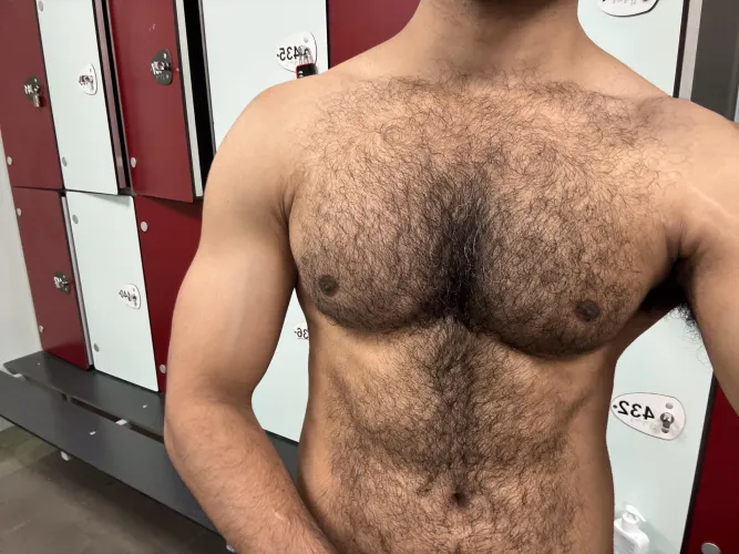 Are we into furry brown pecs 🤔