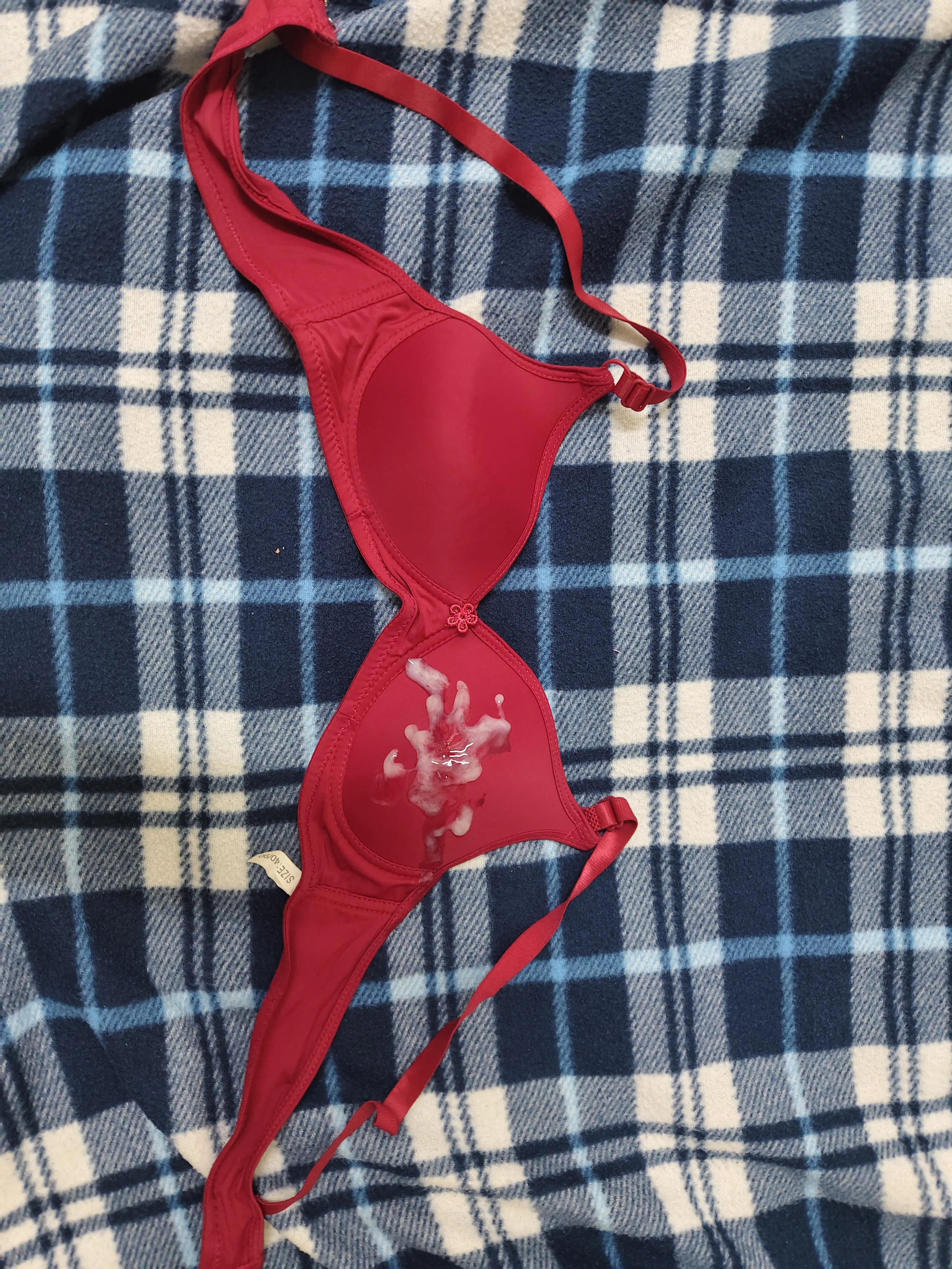 I finally cummed on my neighbours bra.....