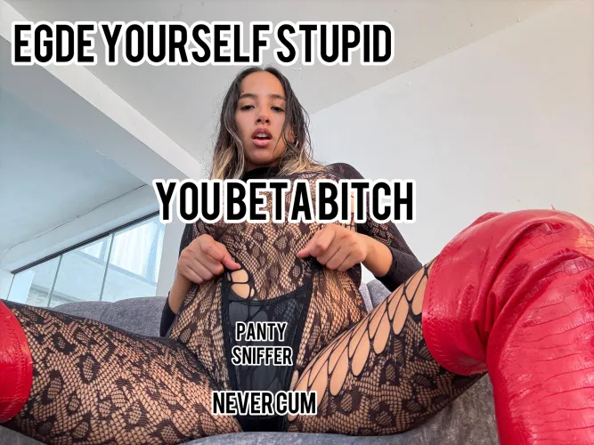 GOON YOURSELF STUPID