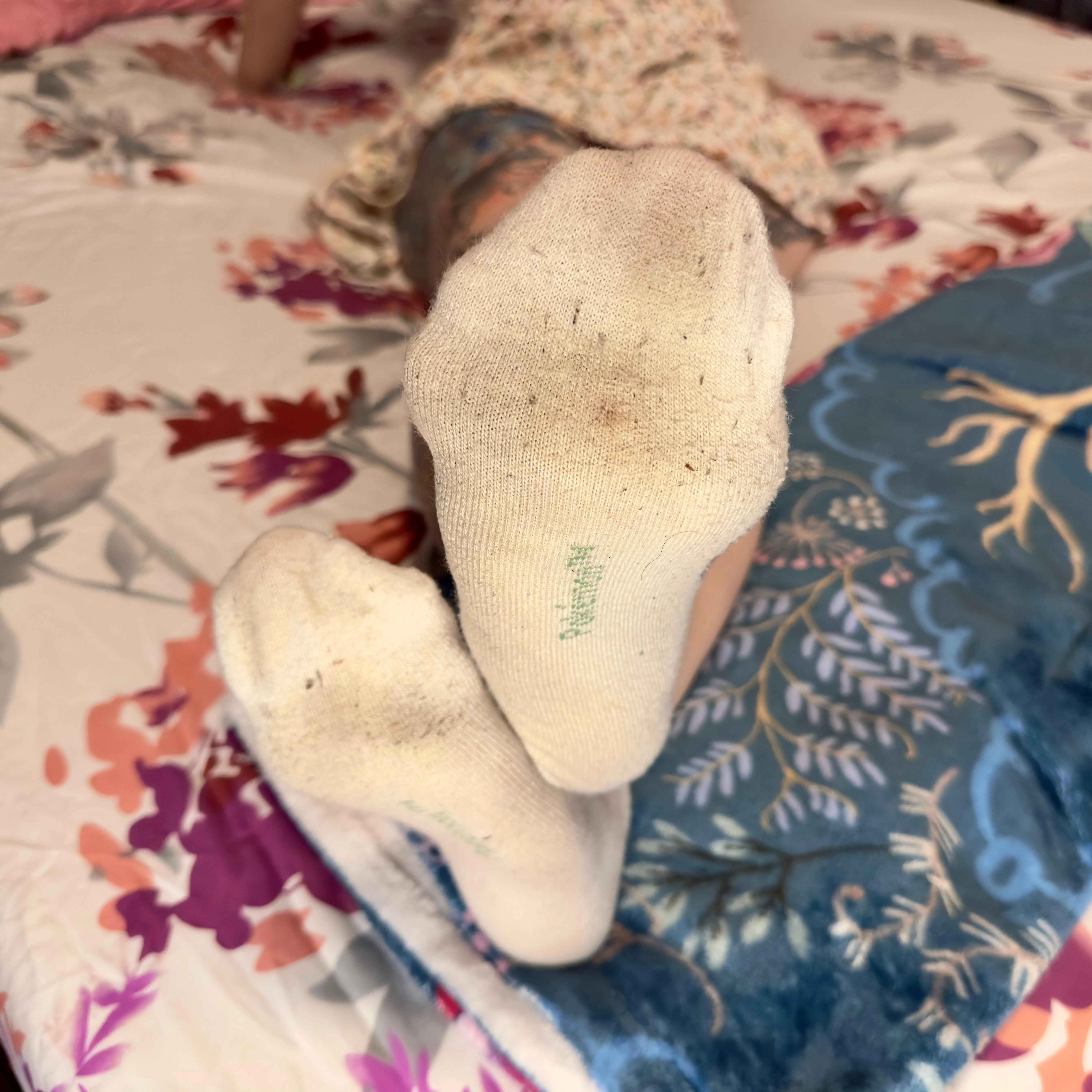 Smell my stinky socks.. 😈😈