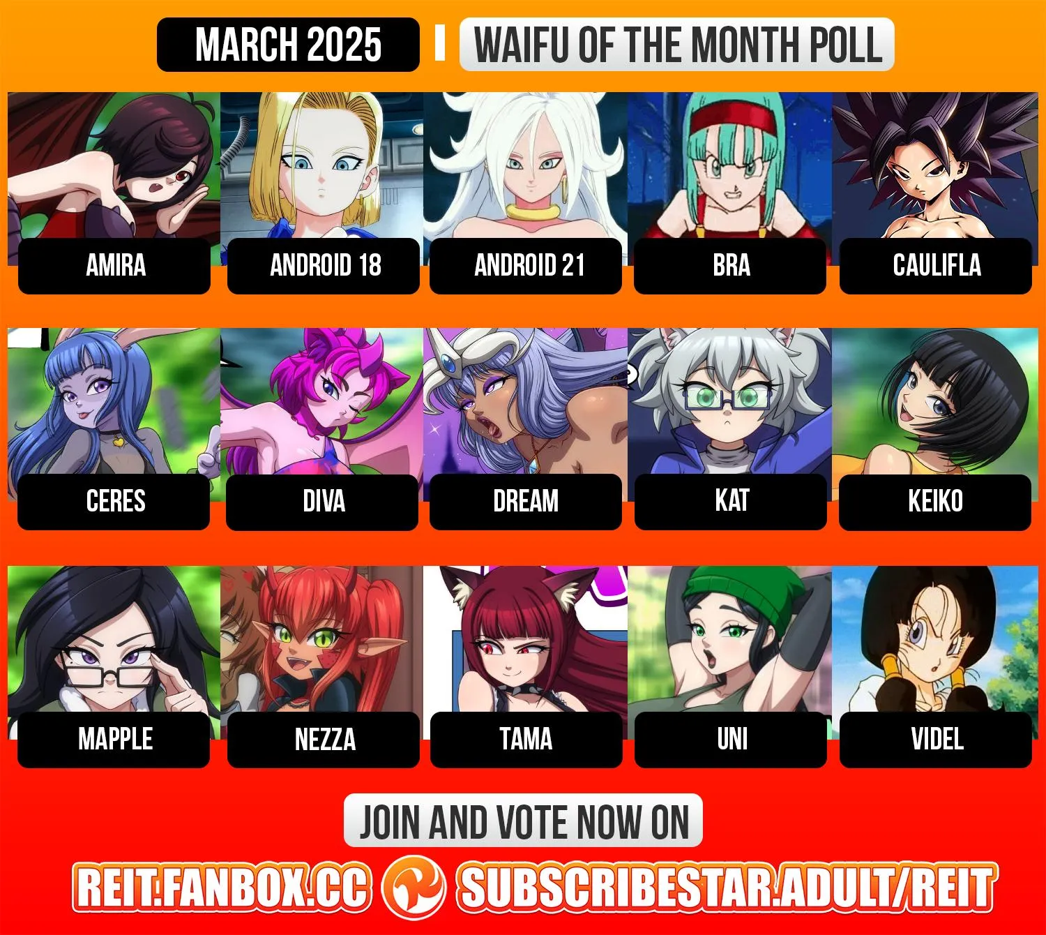 Waifu of the Month poll