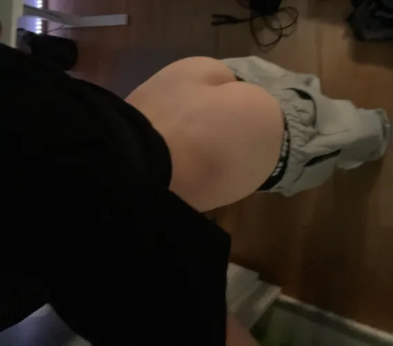 [18] snap : luis_lar2025