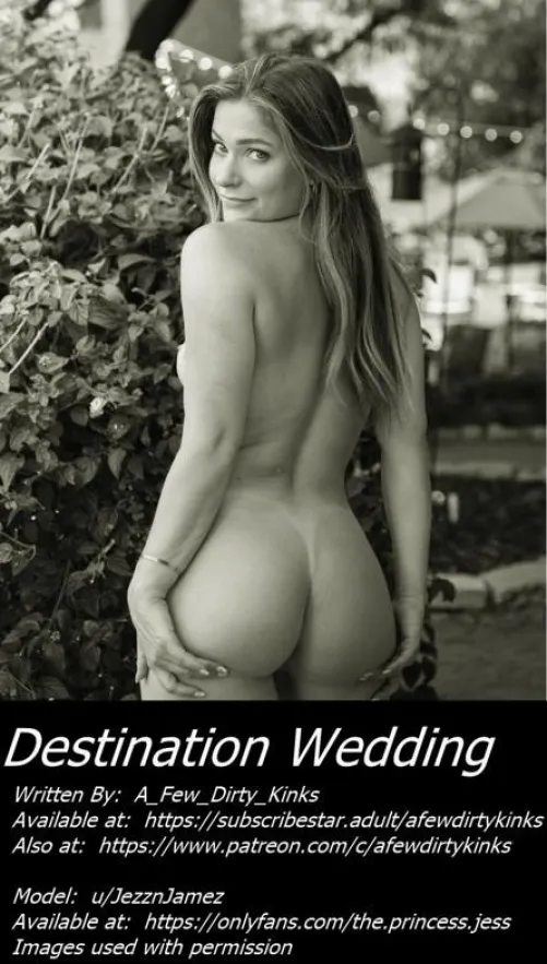Destination Wedding - Chapters 7 through 16 - Link in comments