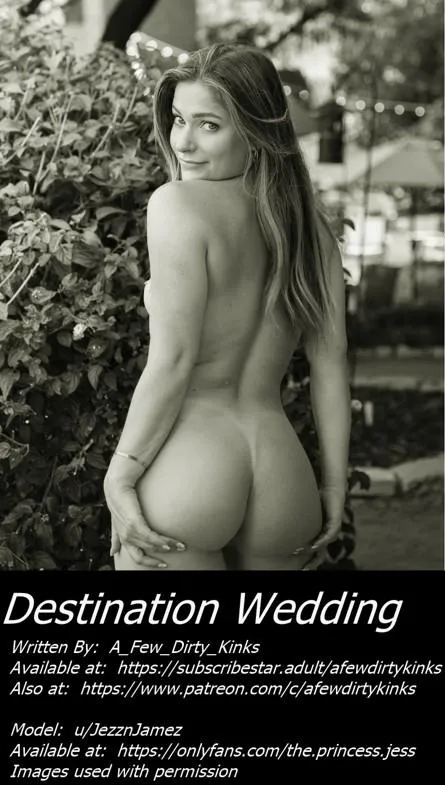 Destination Wedding - Chapters 7 through 16 - Link in comments