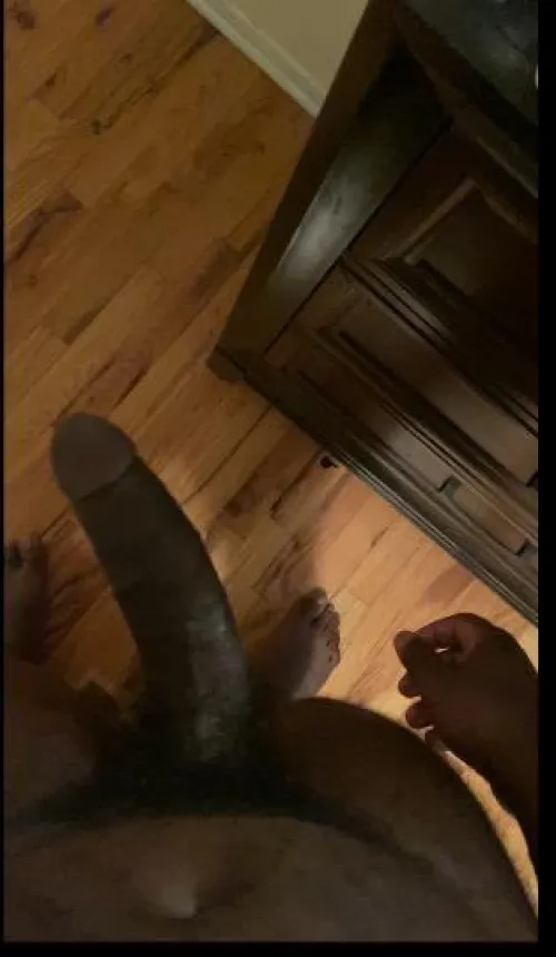 M4F or couple Farmington area looking to have fun