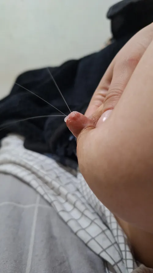 producing the best milk