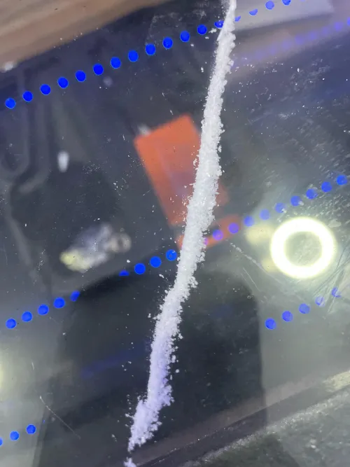 Any females wanna get spun and suck some dick In Slidell?