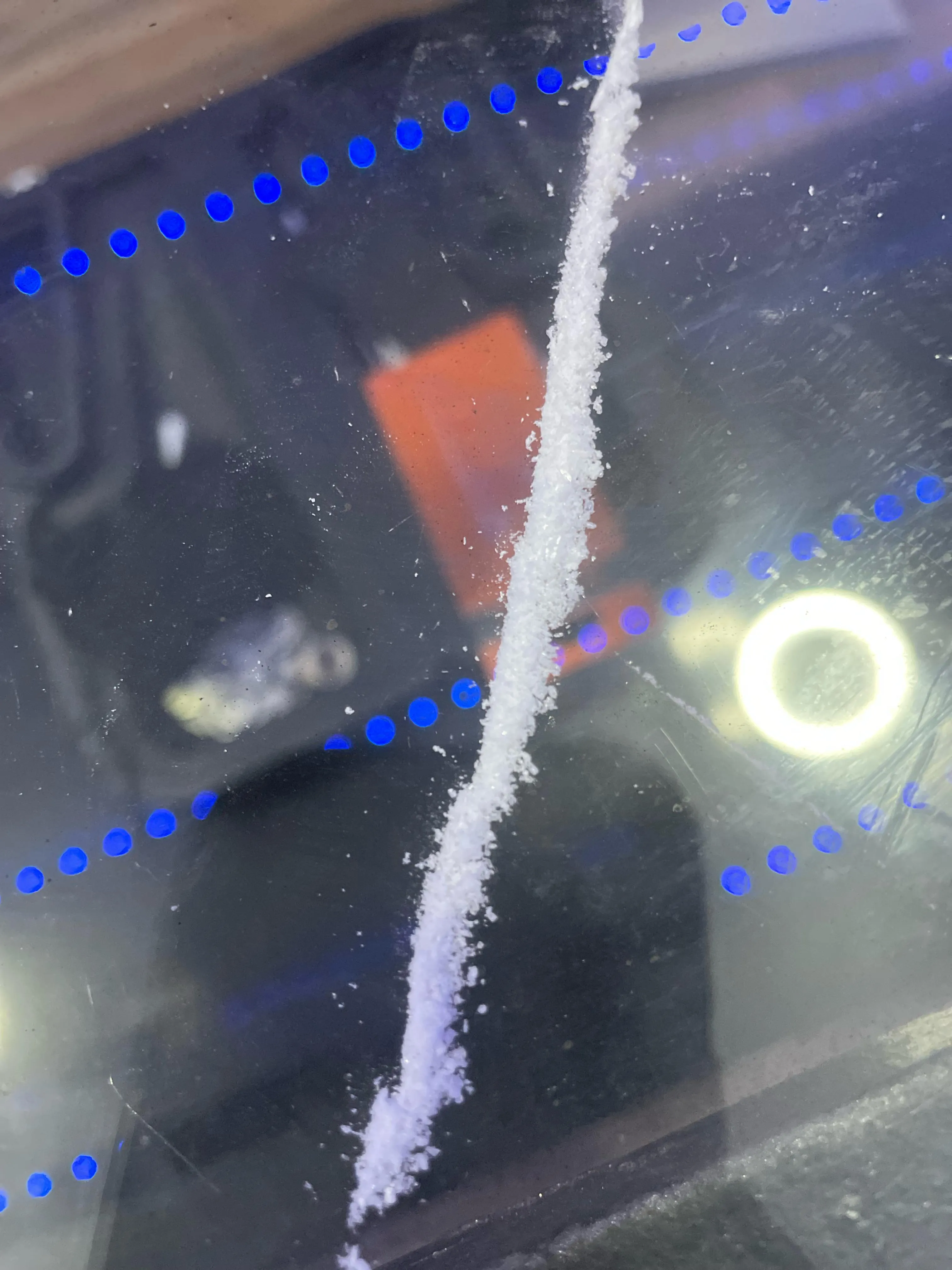 Any females wanna get spun and suck some dick In Slidell?