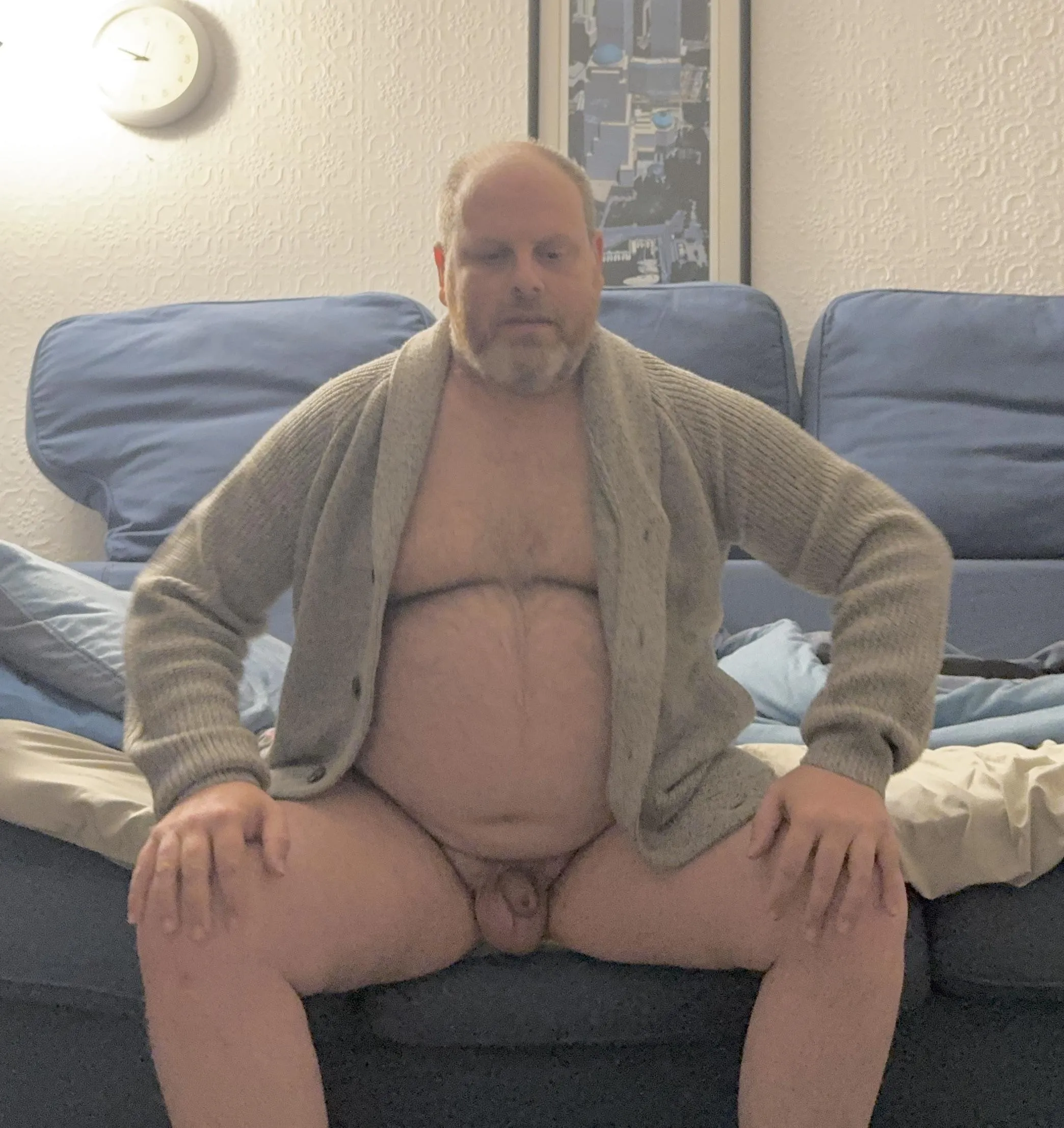 British Bear (45)