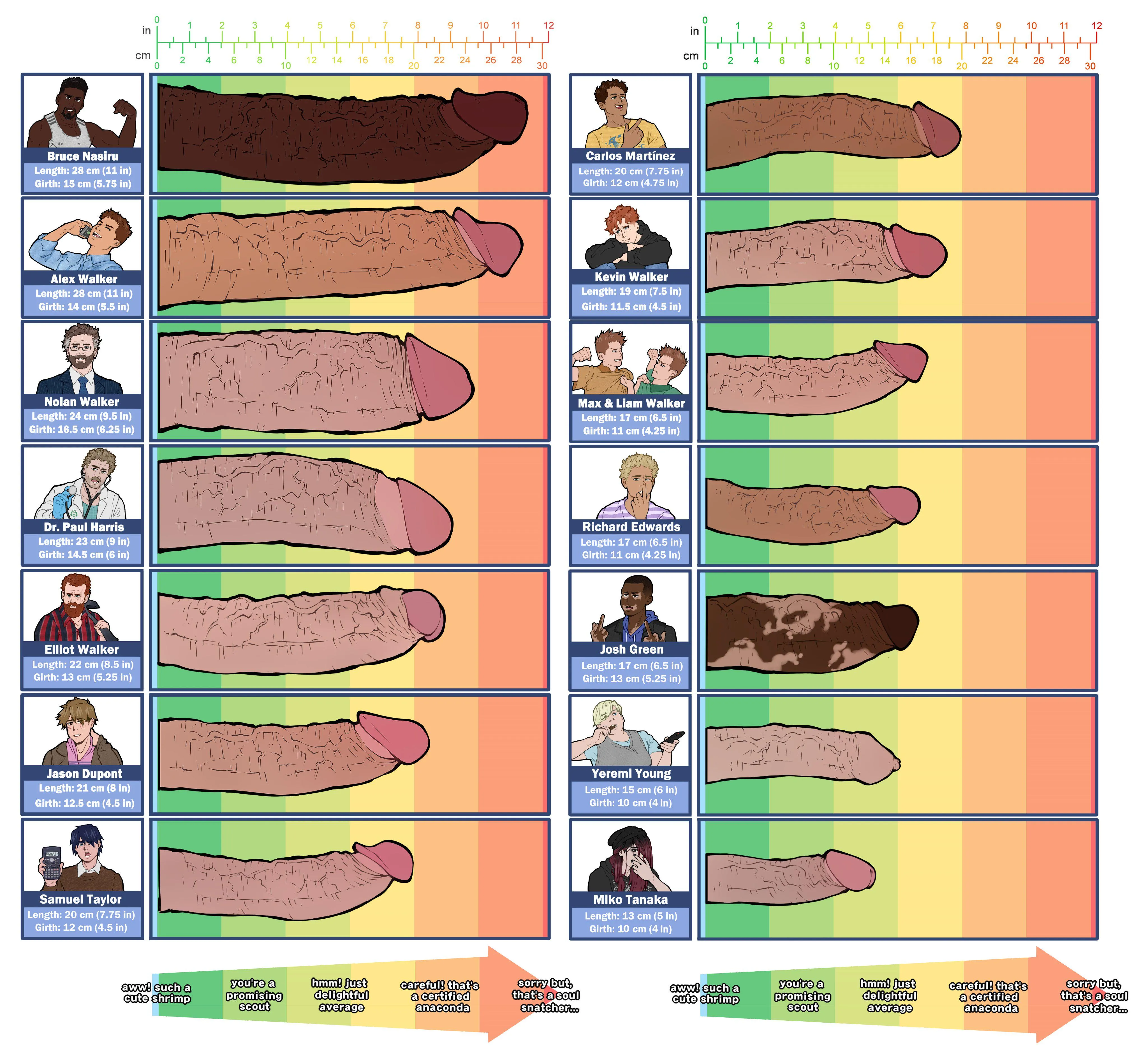 Dick Chart (BaXrranco)